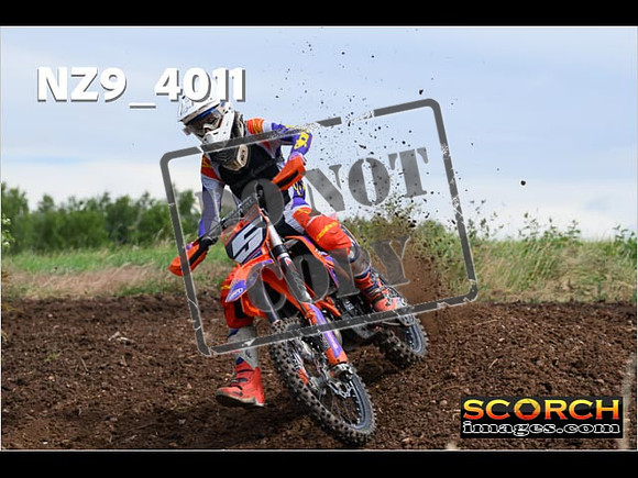 Experts-118