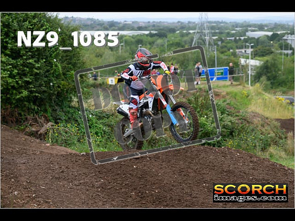Experts-039