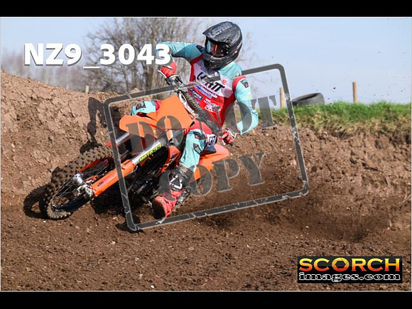 Experts-081