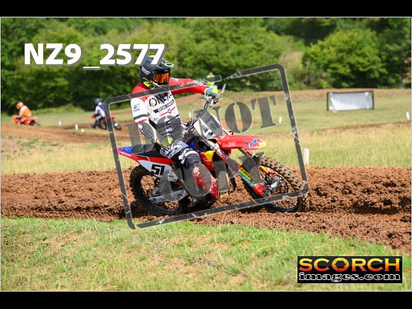 Experts-138