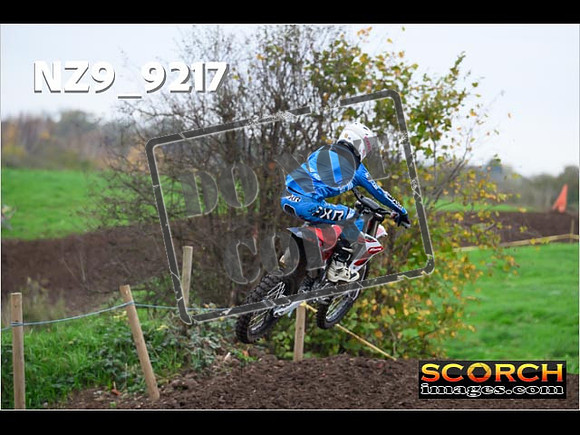 Experts-026