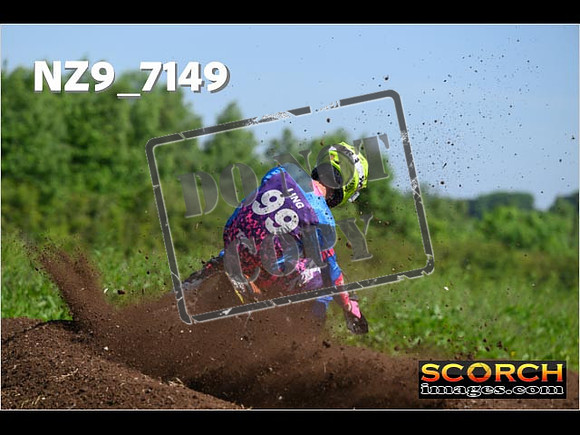 Experts-119