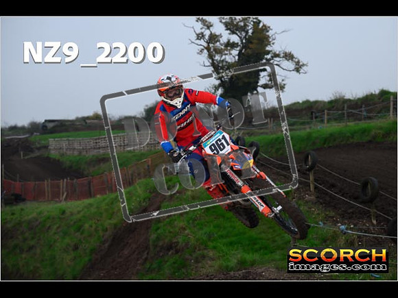 Experts-203