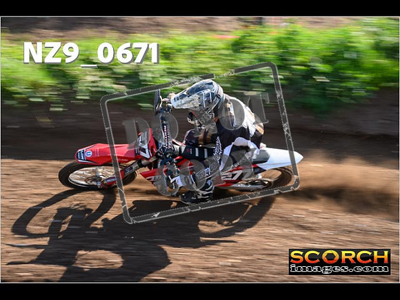 Experts-078