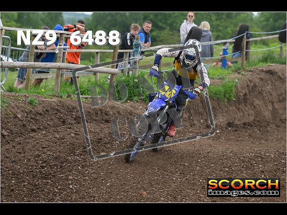 Experts-296