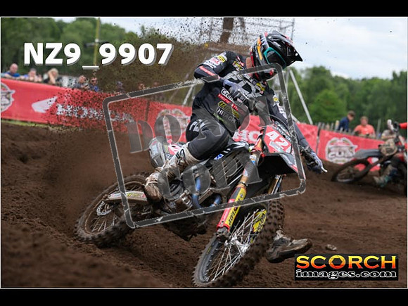 MX1-446