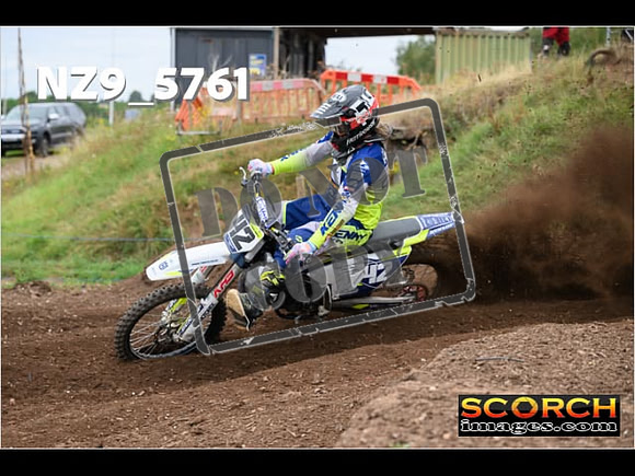 Experts-231