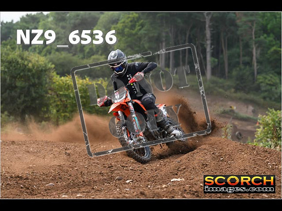 Experts-245