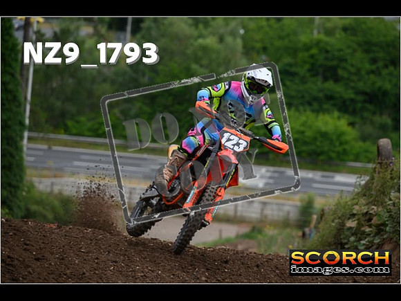 IntersGreenOrange-047