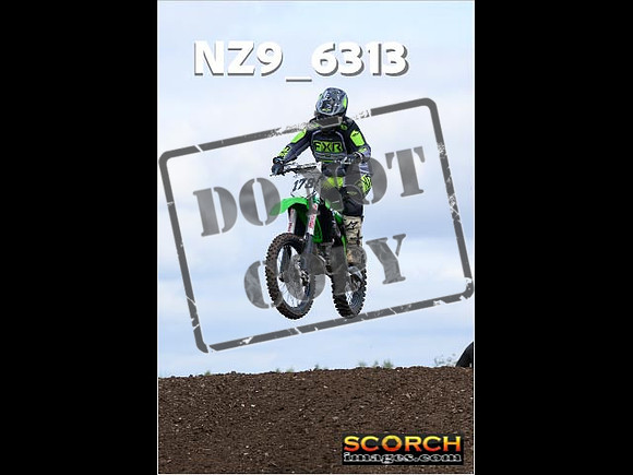 IntersGreen-124
