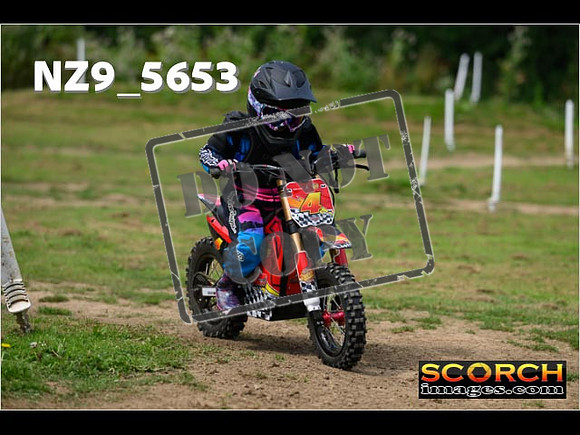 PeeWee Track-034