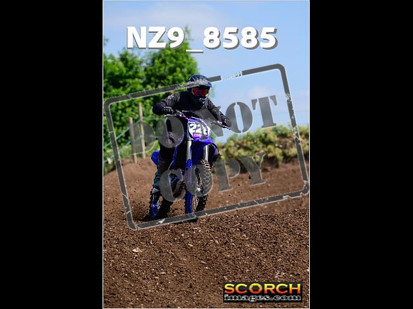 IntersGreenOrange-251
