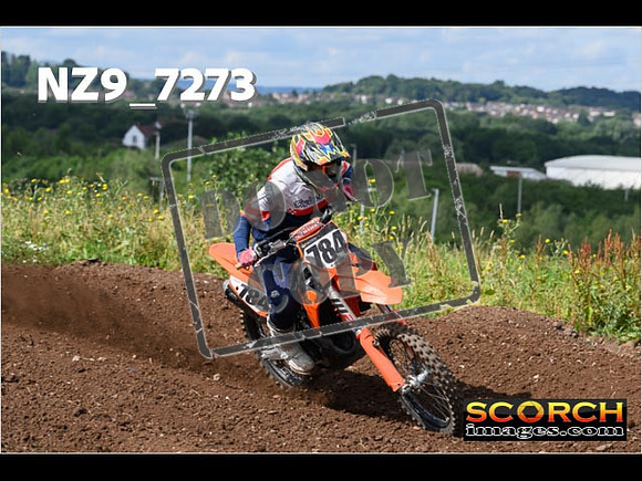 Experts-122