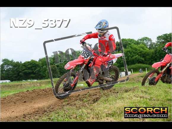 Experts-312