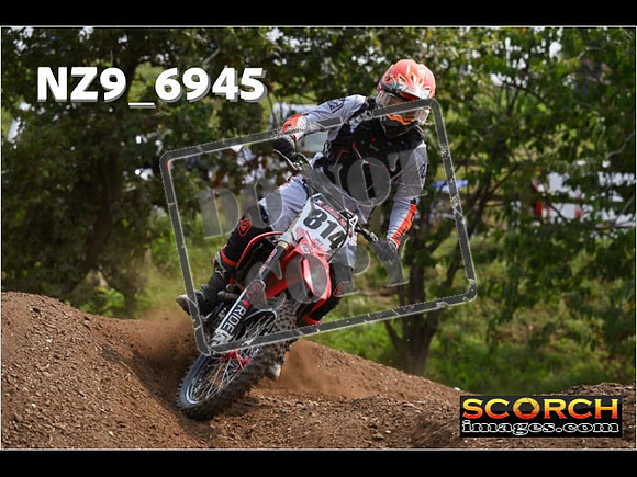 Experts-343