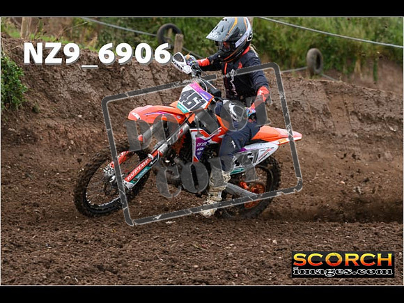 Experts-035