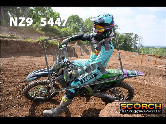 InterGreenOrange-298