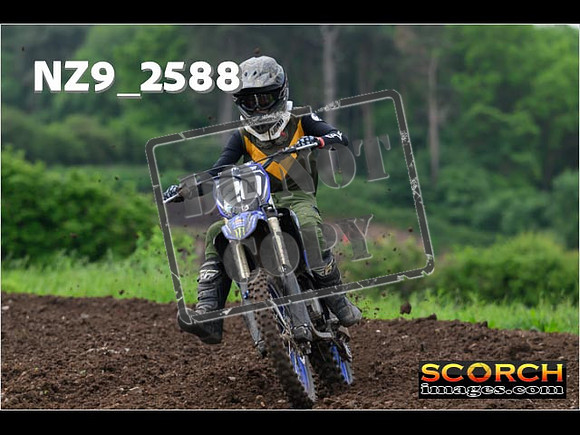 Experts-036