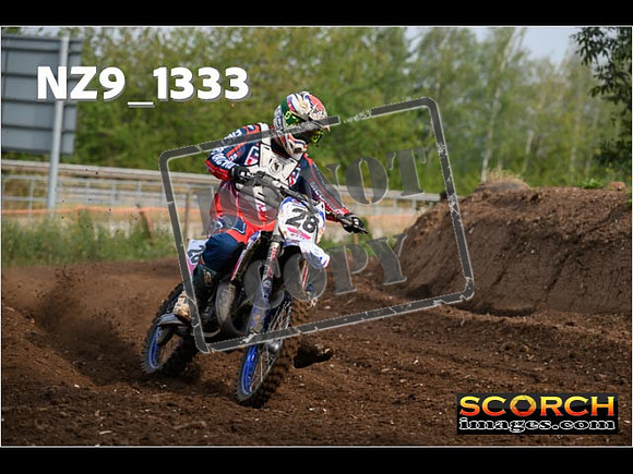 Experts-041