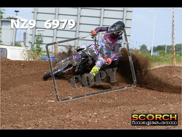 Experts-376