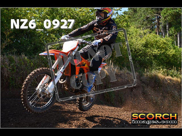 Experts-085