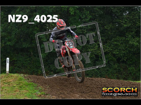 Experts-099