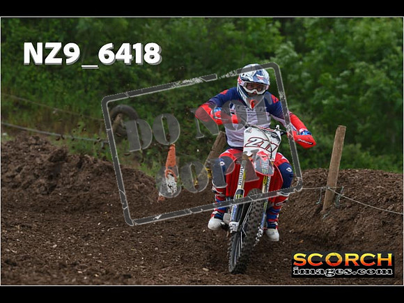 Experts-230