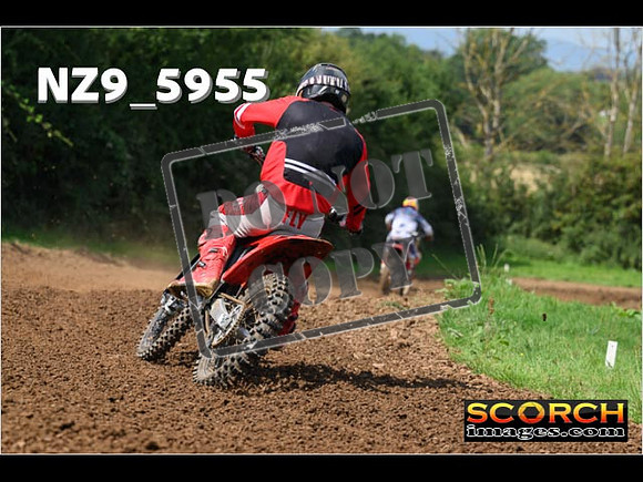 Experts-042