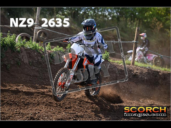 IntersGreenOrange-035