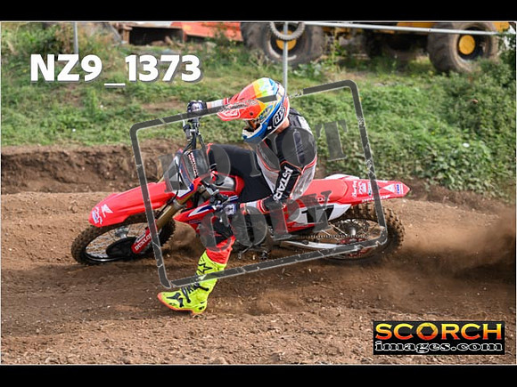 Experts-078