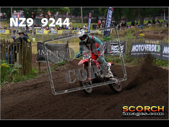 MX1-196