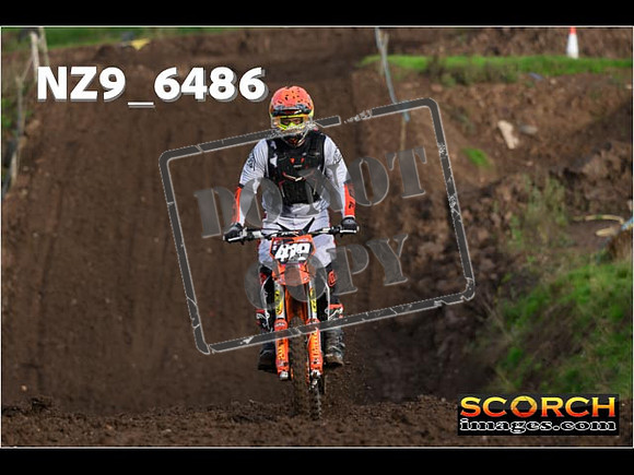Experts-098