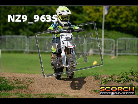 PeeWee Track-04