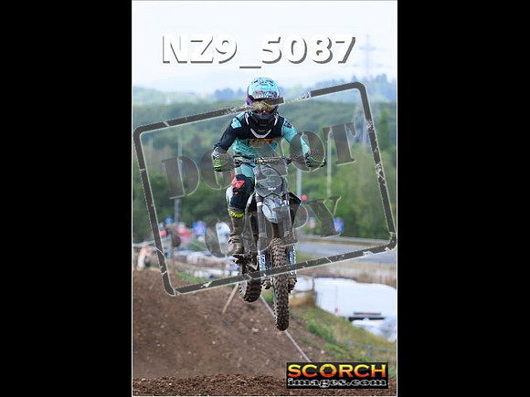 InterGreenOrange-209