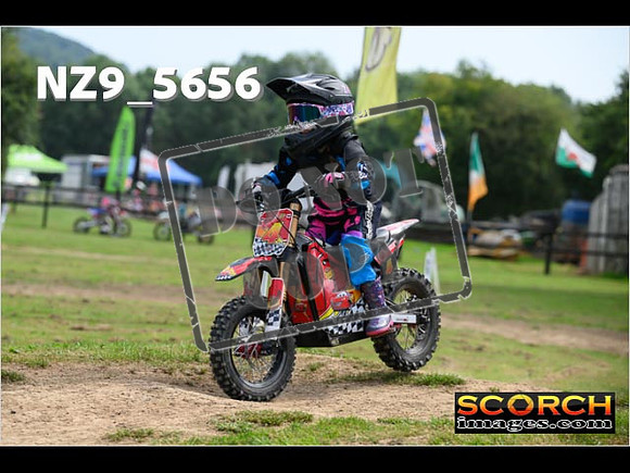PeeWee Track-037