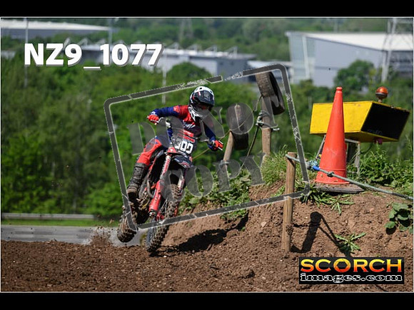 Experts-155