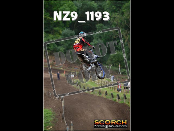 Experts-131