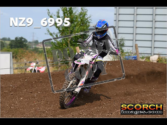 Experts-392