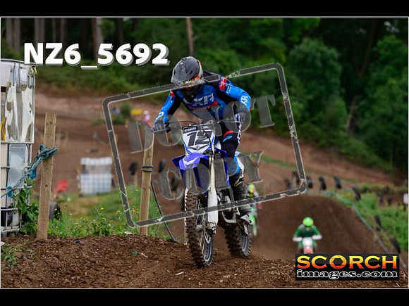 Inters Green-131