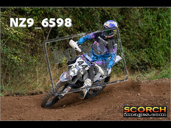 Experts-303