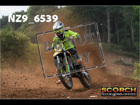 Experts-248