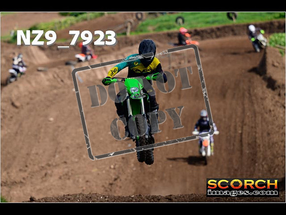 IntersGreenOrange-124