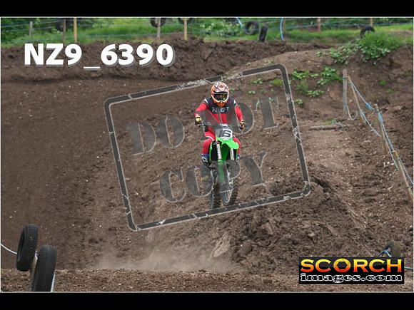 Experts-203