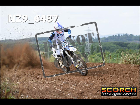 Experts-200