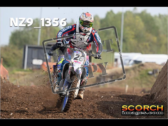 Experts-062