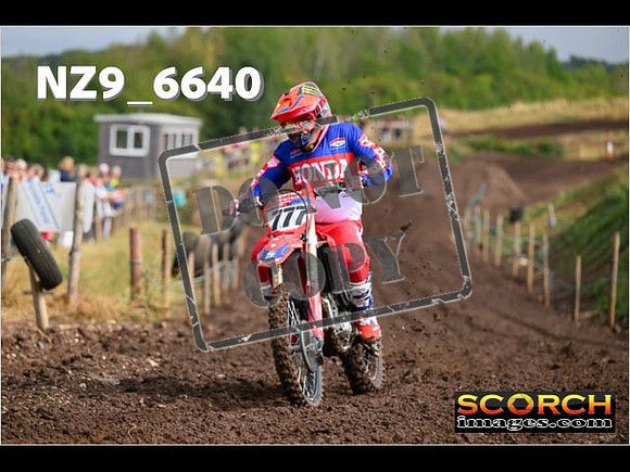 Red- Over 60-022