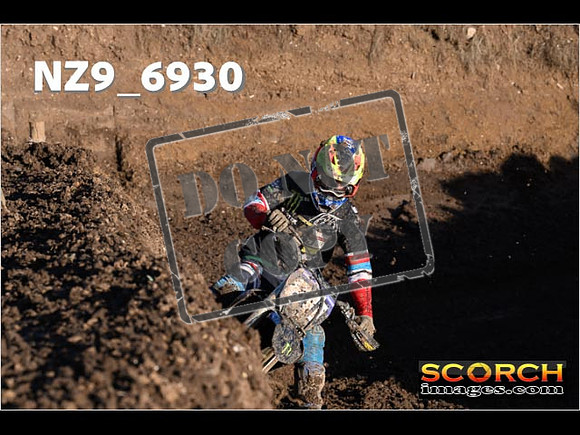 Experts-133