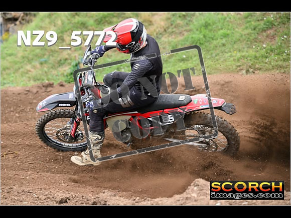 Experts-242