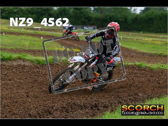 Experts-278