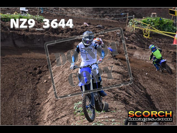 Experts-095